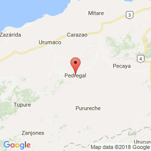 Localización de Pedregal en Falcón
