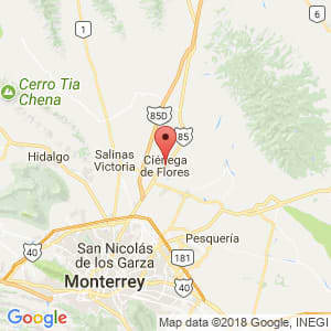 Localización de Ciénega de Flores en Nuevo León