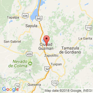 Localización de Zapotlán el Grande en Jalisco