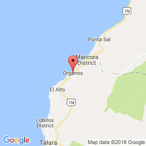 Localización de Los Órganos en Piura