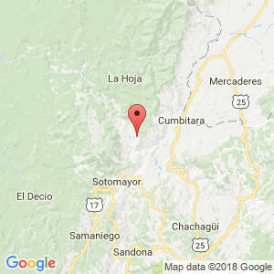 Localización de Policarpa en Nariño