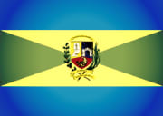 Bandera de Turmero, Aragua