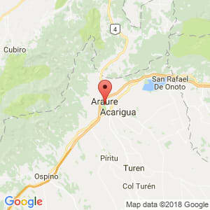 Localización de Araure en Portuguesa