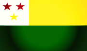Bandera de Flavio Alfaro, Manabí
