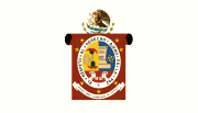 Bandera de Oaxaca de Juárez, Oaxaca