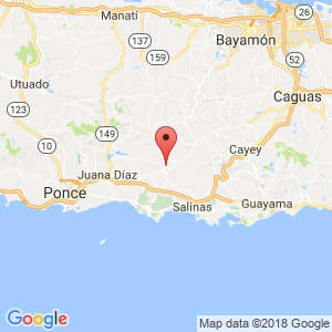 Localización de Coamo en Guayama