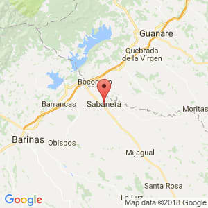 Localización de Sabaneta en Barinas