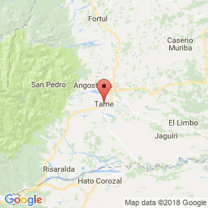 Localización de Tame en Arauca