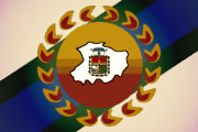 Bandera de Torres, Lara