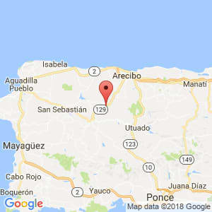 Localización de Camuy en Arecibo