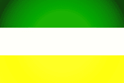 Bandera de Chinandega, Chinandega