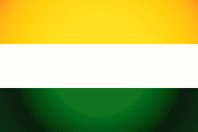 Bandera de Rovira, Tolima