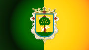 Bandera de Zapopan, Jalisco