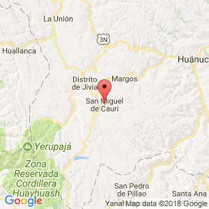 Localización de San Miguel de Cauri en Huánuco