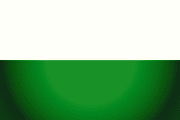 Bandera de Líbano, Tolima