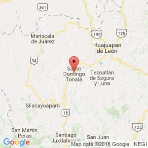 Localización de Santo Domingo Tonalá en Oaxaca