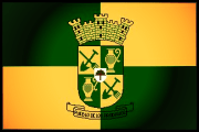 Bandera de Sabana Grande, Ponce