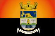 Bandera de Arroyo, Guayama