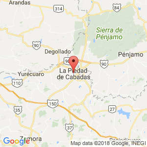 Localización de La Piedad en Michoacán de Ocampo