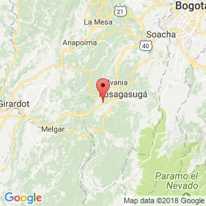 Localización de Chinauta en Cundinamarca