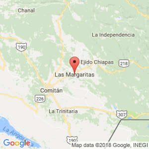 Localización de Las Margaritas en Chiapas
