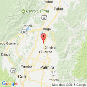 Localización de Guacarí en Valle del Cauca
