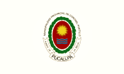 Bandera de Pucallpa, Ucayali