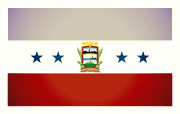 Bandera de Punto Fijo, Falcón