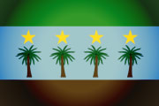 Bandera de Salazar, Norte de Santander