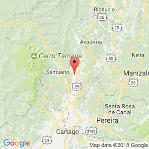 Localización de Viterbo en Caldas