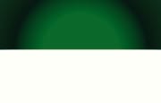 Bandera de Bermejo, Tarija