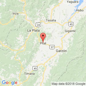 Localización de Pital en Huila