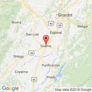 Localización de Guamo en Tolima