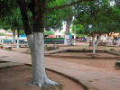 Foto 4 de Guamal, Magdalena