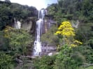 Foto 7 de Gambita, Santander