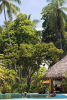 Foto 2 de Parrita, Puntarenas
