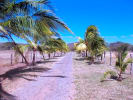 Foto 7 de Bagaces, Guanacaste