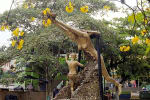 Foto 5 de Segovia, Antioquia