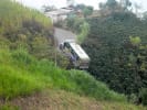 Foto 5 de Risaralda, Caldas