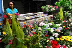 Foto 5 de Bella Vista, Cochabamba