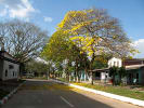 Foto 5 de Cravo Norte, Arauca