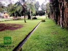 Foto 3 de Guácimo, Alajuela