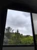 Foto 3 de San Diego, Cartago