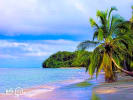 Foto 6 de Puerto Viejo de Talamanca, Limón