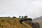 Foto 5 de Chunchi, Chimborazo