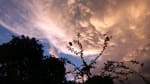 Foto 4 de Bagaces, Guanacaste