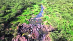 Foto 2 de Cañadas de Obregón, Jalisco