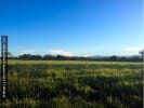 Foto 4 de Paratebueno, Cundinamarca
