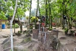 Foto 6 de Melgar, Tolima