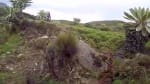 Foto 6 de Chita, Boyacá